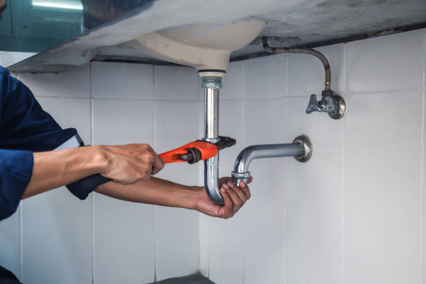 Best Plumbing Services Near Me  in Johnsonville, SC
