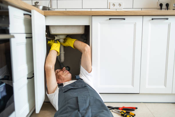 Best Clogged Drain Plumber  in Johnsonville, SC