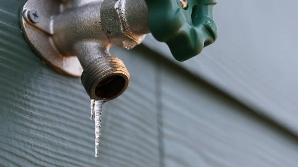 Best Residential Plumbing Services  in Johnsonville, SC
